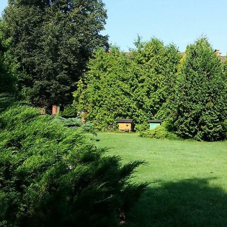 Kwiatowa Zagroda Białowieża Exteriör bild