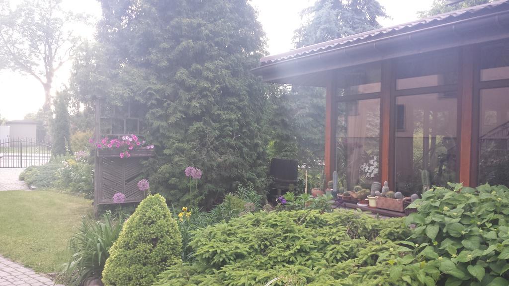 Kwiatowa Zagroda Białowieża Exteriör bild