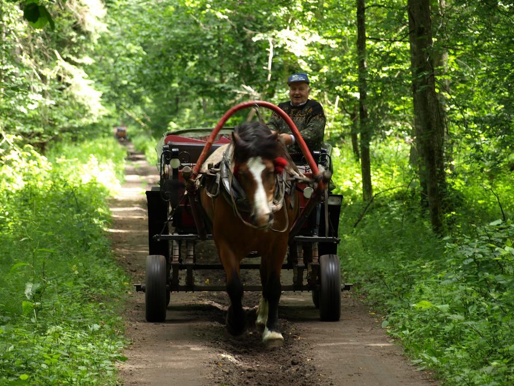 Kwiatowa Zagroda Białowieża Exteriör bild
