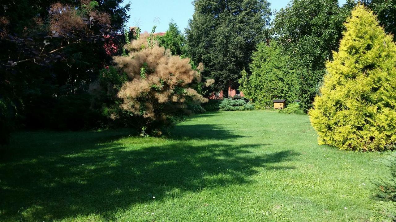 Kwiatowa Zagroda Białowieża Exteriör bild